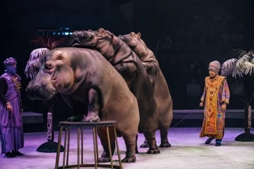 Фото: «Песчаную сказку» Гии Эрадзе покажут в Кемеровском цирке 2