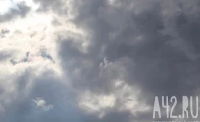 Силы ПВО за ночь сбили 176 БПЛА над территорией России