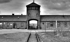 96-летний «бухгалтер Освенцима» умер в больнице