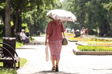 Фото: В Кузбассе прогнозируют экстремальную жару на 6-7 градусов выше нормы 1