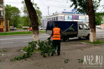 Фото: «Повалены деревья»: появились фото последствий сильного ветра в Кемерове 3