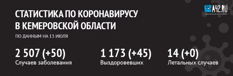Фото: Коронавирус в Кемеровской области: актуальная информация на 13 июля 2020 года 1