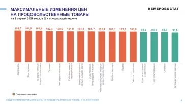 Инфографика: Кемеровостат