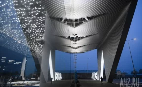 Задержаны вылеты трёх самолётов из Кемерова