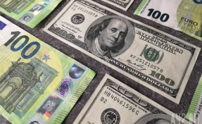 Житель Липецкой области получил 10,5 года колонии за взятку в миллион долларов