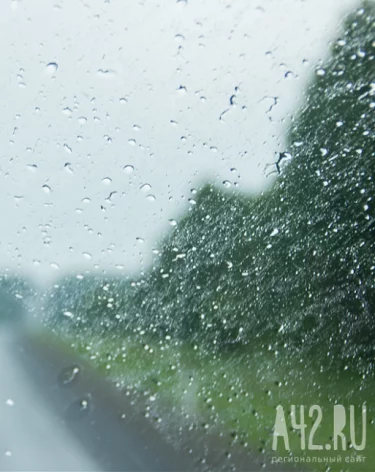 Фото: A42.RU