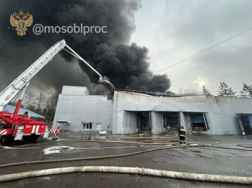 Фото: Названа возможная причина пожара на складе пластиковой тары в Подмосковье 1