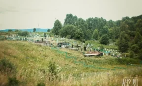 В Омской области посетители кладбища устроили драку на дороге 