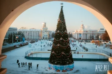 Фото: Стало известно, кто установит ель за 18 миллионов рублей на площади Советов в Кемерове 1