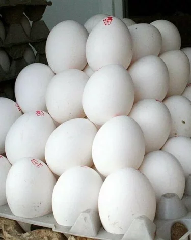 Фото: А42.RU