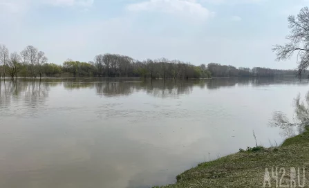 В Кузбассе из-за осадков резко поднялась вода в реках Томь и Уса
