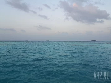 Фото: В Приморье нашли тело мужчины, пропавшего вместе с подругой во время прогулки на сапе 1