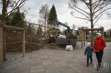 Фото: В Кемерове начали заменять пожелтевшие деревья в Парке Ангелов 1