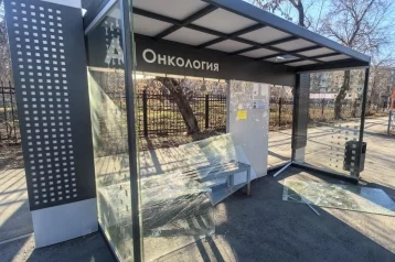Фото: Нетрезвый кемеровчанин колотил руками и ногами по автобусной остановке 1