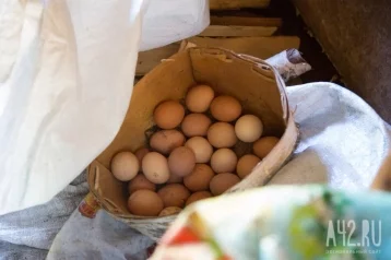 Фото: Роспотребнадзор назвал две причины, по которым не стоит хранить яйца в дверце холодильника 1