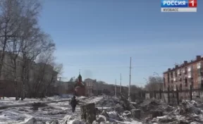 В Берёзовой роще Кемерова спилили аварийные деревья