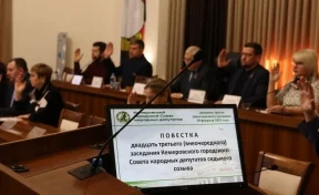 Власти: в Кемерове создана рабочая группа для обсуждения вопросов экологии