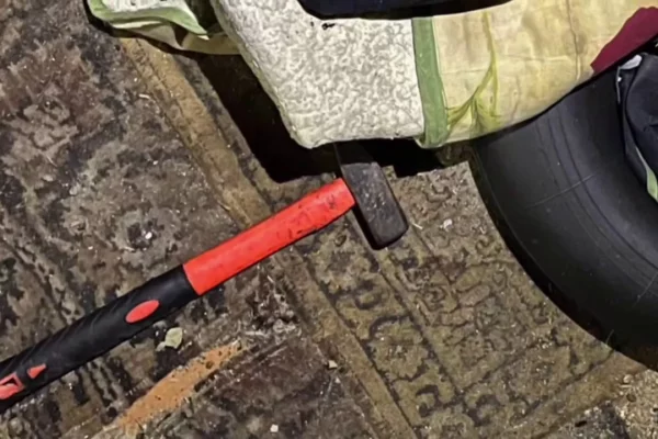 Россиянка 31 декабря до смерти забила молотком знакомого и спрятала тело у кур