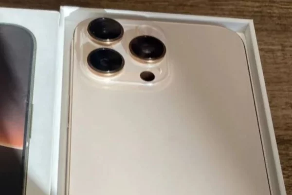 Украл iPhone: в Междуреченске по горячим следам задержали грабителя