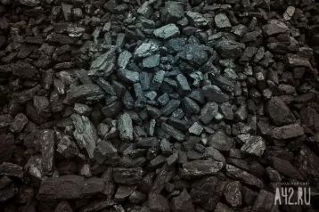 Фото: В Кузбассе начали раздавать благотворительный уголь 1