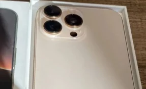 Украл iPhone: в Междуреченске по горячим следам задержали грабителя