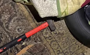 Россиянка 31 декабря до смерти забила молотком знакомого и спрятала тело у кур