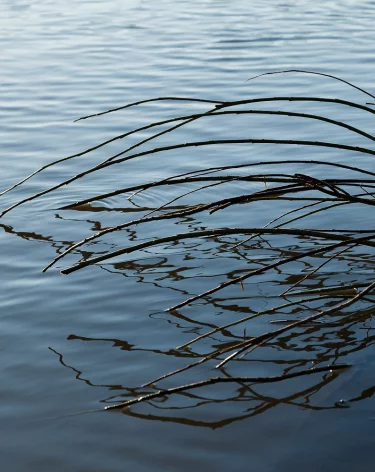 Власти объявили Ямайку зоной бедствия после прохождения урагана высшей категории «Мелисса»