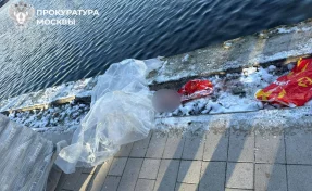 Бабушка мальчика, голову которого нашли в пруду, рассказала, что его увёл из дома отчим