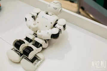 Фото: Как подружиться с роботами: 50 экспонатов с выставки 5