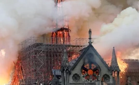Пожар в соборе Парижской Богоматери удалось ликвидировать 