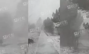 Кузбассовцы сняли на видео снежную бурю: ухудшение погоды продолжится 25 марта
