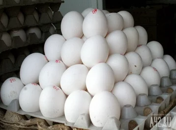 Фото: В Кузбасс завезли 800 коробок яиц из Италии для разведения птиц 1