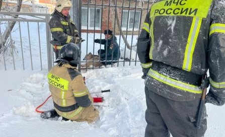 В Юрге спасли косулю, застрявшую в школьном заборе