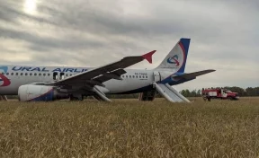 Названа причина аварийной посадки самолёта Сочи — Омск в поле под Новосибирском 