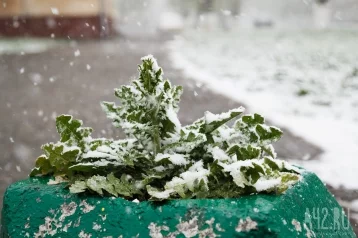 Фото: В кузбасском городе выпал снег 1