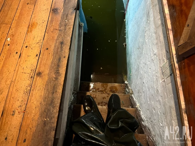 Фото: То ли подвал, то ли аквариум. Как беловчане живут в затопленных домах перед зимой 4