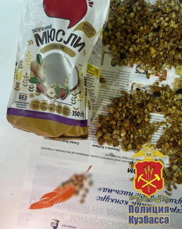 Фото: пресс-служба ГУ МВД по Кемеровской области