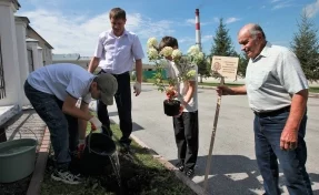 Волонтёры СУЭК-Кузбасс посадили «Сад семейных воспоминаний»