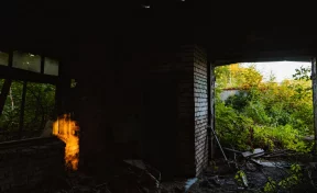 «Война окончена»: Трамп объявил о завершении конфликта в секторе Газа