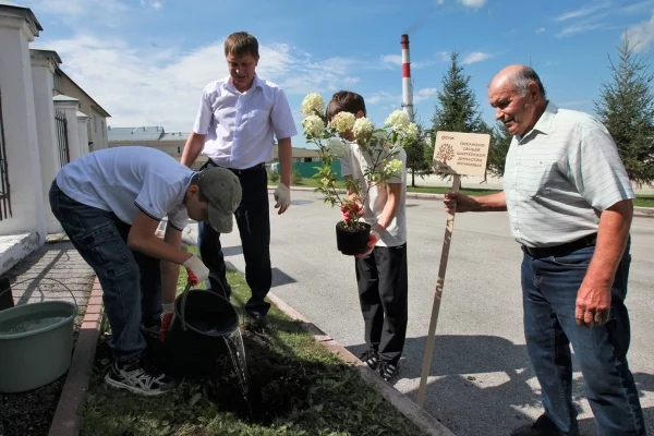 Волонтёры СУЭК-Кузбасс посадили «Сад семейных воспоминаний»
