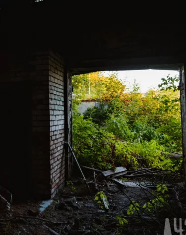 «Война окончена»: Трамп объявил о завершении конфликта в секторе Газа