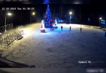 Фото: В Кузбассе хулиганы залезли на главную городскую ёлку и сняли это на видео 1