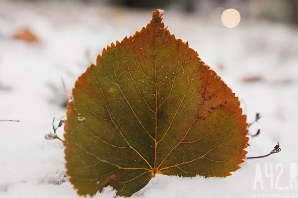 Не стричь волосы и не ругаться: народные приметы на 10 октября