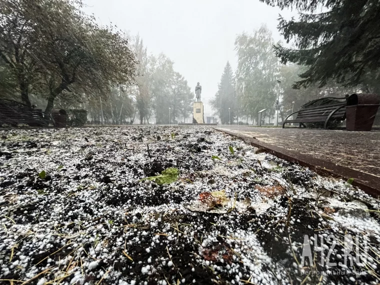 Фото: В Кузбассе прошли первые снегопады: ГАИ предупредила об ухудшении видимости на дорогах 5