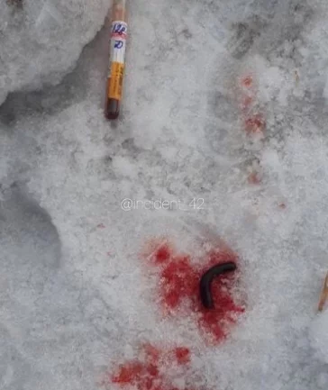 Фото: В кемеровском дворе нашли пробирки с кровью: полиция начала проверку 3