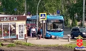 Фото: В Новокузнецке 8-летняя девочка ушла из дома: её случайно нашли в автобусе 1
