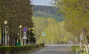 В Кузбассе в последний день апреля потеплеет до +28