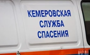 Одни дома: в Кемерове спасатели помогли близнецам выйти из запертой квартиры