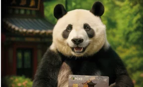 UnionPay: на что тратили россияне за границей в 2025 году