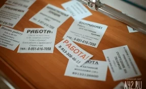В Новокузнецке самыми востребованными остаются водители, медсёстры, продавцы и маляры